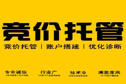 百度SEO推广公司案例解析：实战优化技巧全解读